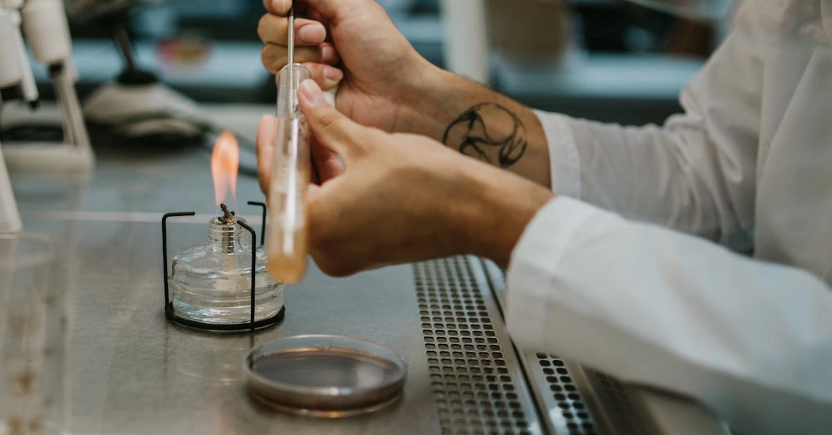 Математический анализ доходности слота Chilli Heat с графиками RTP