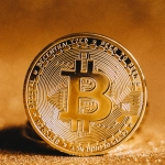 Анализ волатильности слот-игры Mustang Gold для портфельного планирования