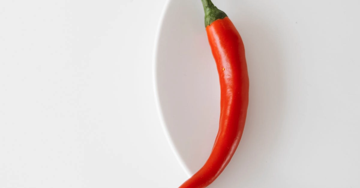 Инвестиционный анализ игровых активов и рисков азартного сектора